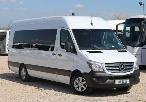 mikroavtobus-gruzopassazhirskiy-mikroavtobusMERCEDES-BENZ-Sprinter-III-1523719890957592421_big-18041418311753775600